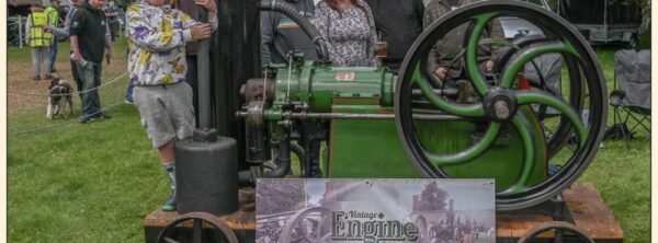 Vintage Engine Enthusiast